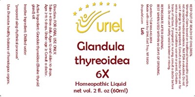 Glandula Thyreoidea 6x Liquid (Glandula Thyreoidea 6x Liquid)